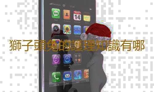 獅子頭兔的護理知識有哪些？