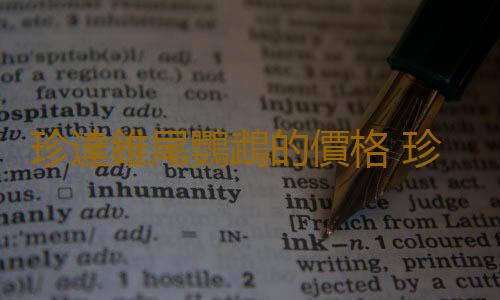 珍達錐尾鸚鵡的價格 珍達錐尾鸚鵡的飼養方法