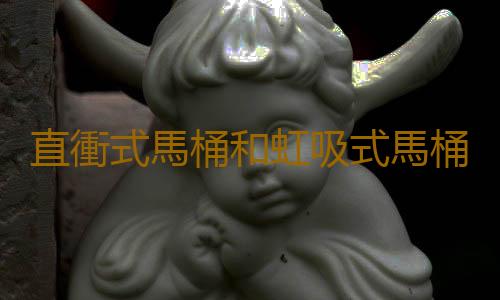 直衝式馬桶和虹吸式馬桶性能PK