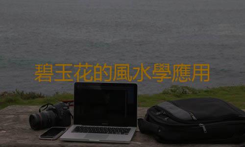 碧玉花的風水學應用