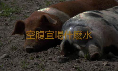 空腹宜喝什麽水
