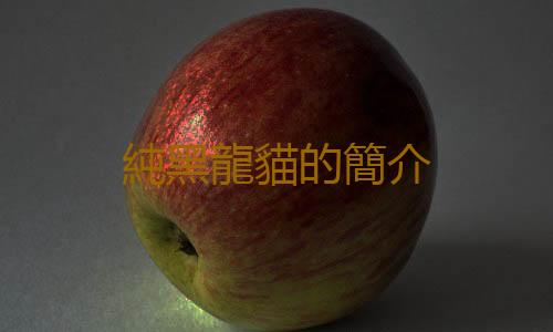 純黑龍貓的簡介