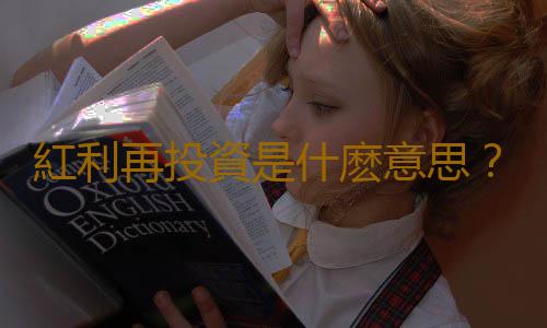 紅利再投資是什麽意思？