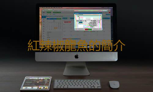 紅辣椒龍魚的簡介
