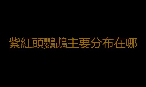 紫紅頭鸚鵡主要分布在哪裏？