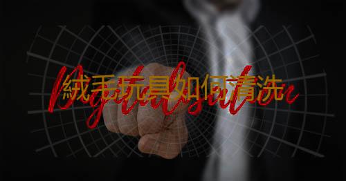 絨毛玩具如何清洗