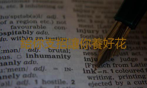 給你支招讓你養好花