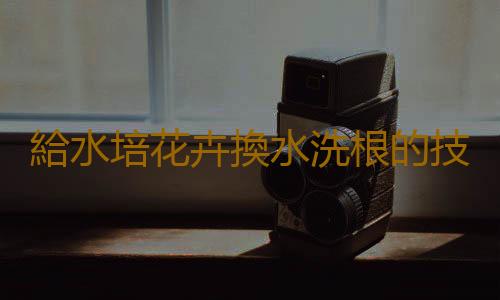 給水培花卉換水洗根的技巧