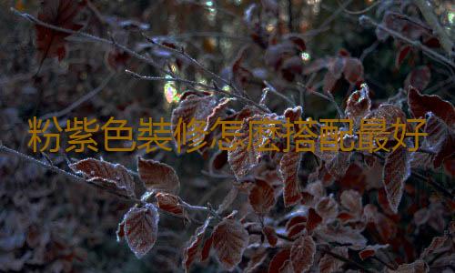 粉紫色裝修怎麽搭配最好？