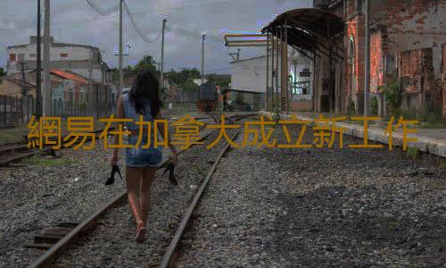 網易在加拿大成立新工作室 《質量效應》項目總監領導