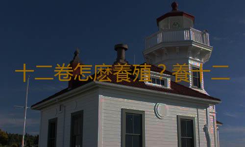 十二卷怎麽養殖？養十二卷的注意事項