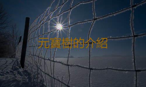 元寶樹的介紹