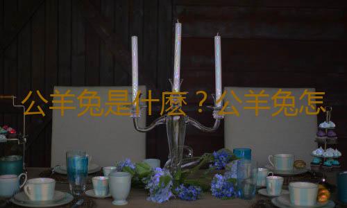 公羊兔是什麽？公羊兔怎麽護理？