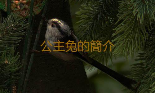 公主兔的簡介