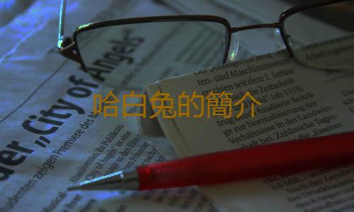 哈白兔的簡介