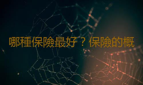 哪種保險最好？保險的概念