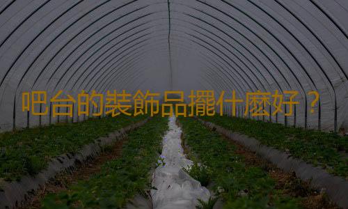 吧台的裝飾品擺什麽好？吧台的色調