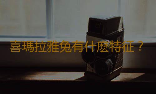喜瑪拉雅兔有什麽特征？