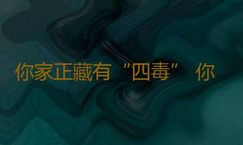 你家正藏有“四毒” 你知道那幾個嗎
