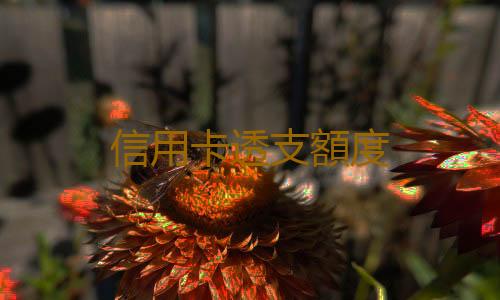 信用卡透支額度