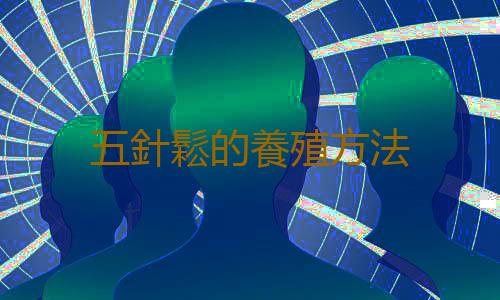 五針鬆的養殖方法