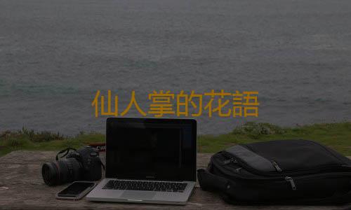 仙人掌的花語