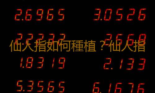 仙人指如何種植？仙人指的簡介