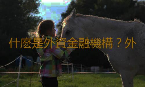 什麽是外資金融機構？外資金融機構的形式