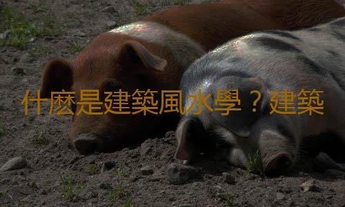 什麽是建築風水學？建築風水學在現代社會的作用