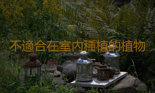 不適合在室內種植的植物 人碰觸撫摸它們會過敏
