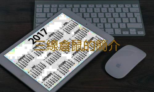 三線倉鼠的簡介