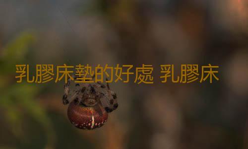 乳膠床墊的好處 乳膠床墊的優缺點利弊分析