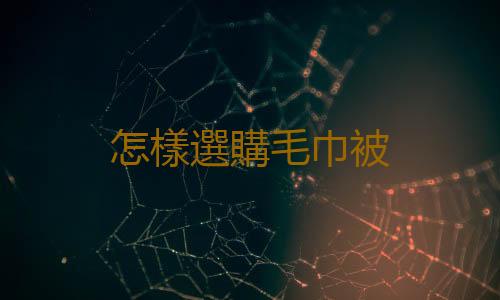怎樣選購毛巾被