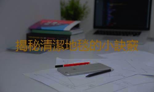揭秘清潔地毯的小訣竅
