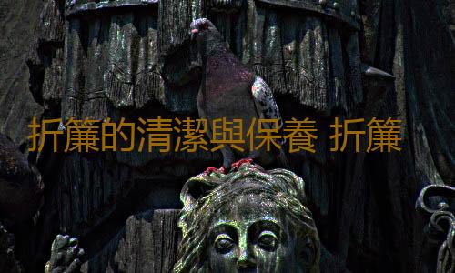 折簾的清潔與保養 折簾的搭配知識