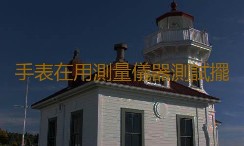 手表在用測量儀器測試擺幅的重要指標