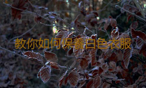 教你如何保養白色衣服
