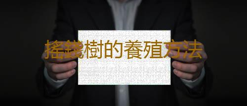 搖錢樹的養殖方法