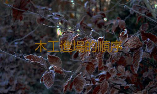 木工進場的順序