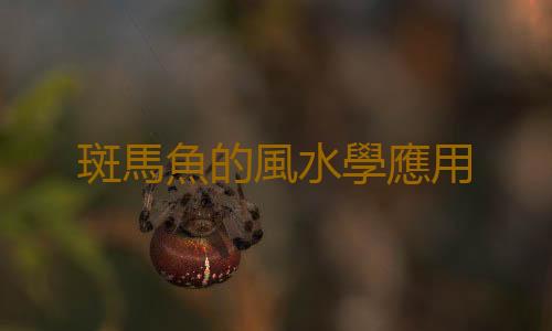 斑馬魚的風水學應用