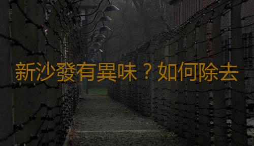 新沙發有異味？如何除去新沙發的異味