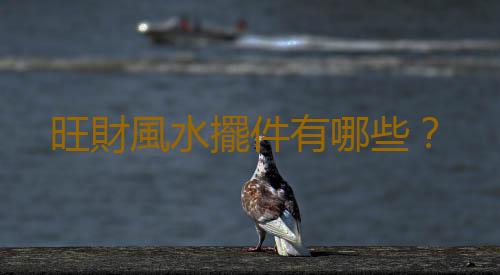 旺財風水擺件有哪些？