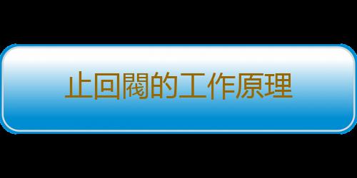 止回閥的工作原理