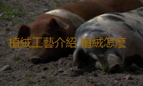 植絨工藝介紹 植絨怎麽清洗？