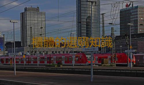 櫃體的選購知識