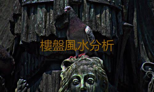 樓盤風水分析