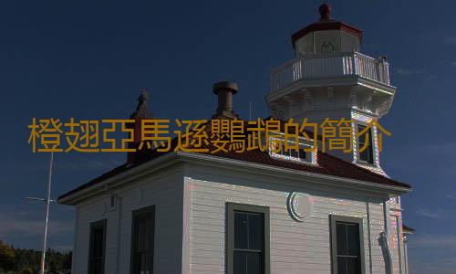 橙翅亞馬遜鸚鵡的簡介 橙翅亞馬遜鸚鵡的產地