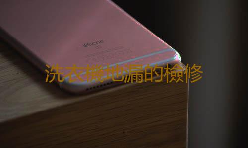 洗衣機地漏的檢修