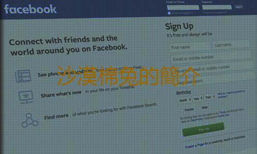 沙漠棉兔的簡介