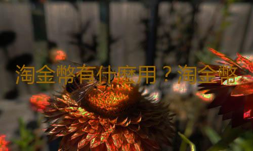 淘金幣有什麽用？淘金幣全額兌換技巧
